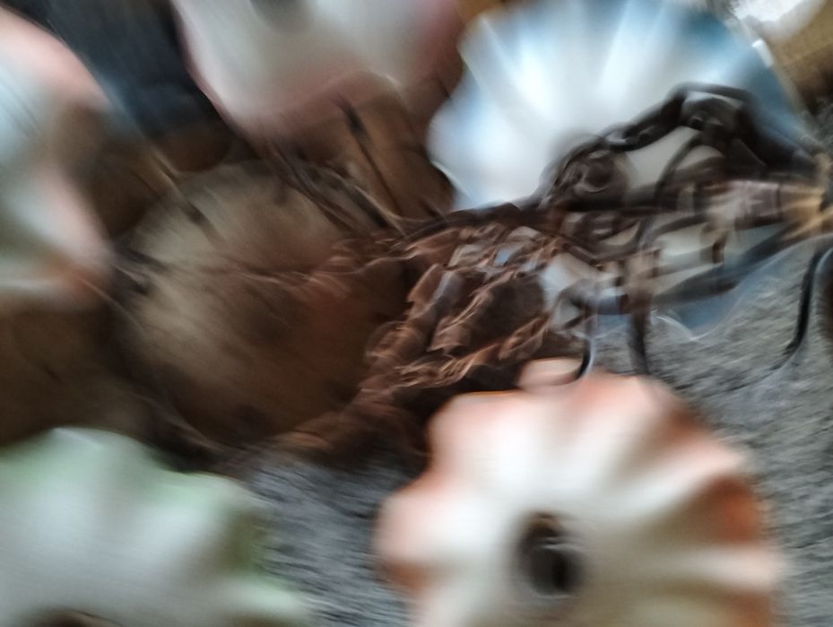 Sprzedam żyrandol. Z kolorowego szkła  z okresu prl