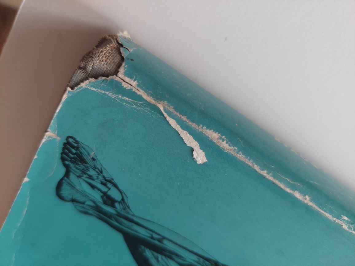 Livro an atlas of anatony for artists