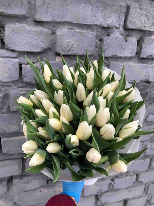 Тюльпан на зріз Опт 38грн