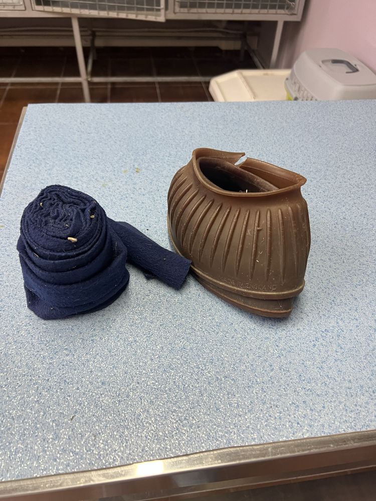 Cloches e uma ligadura azul cavalos