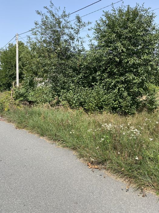 Ділянка в селі Микуличі