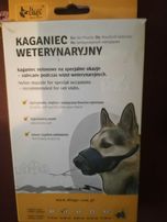 Kaganiec weterynaryjny