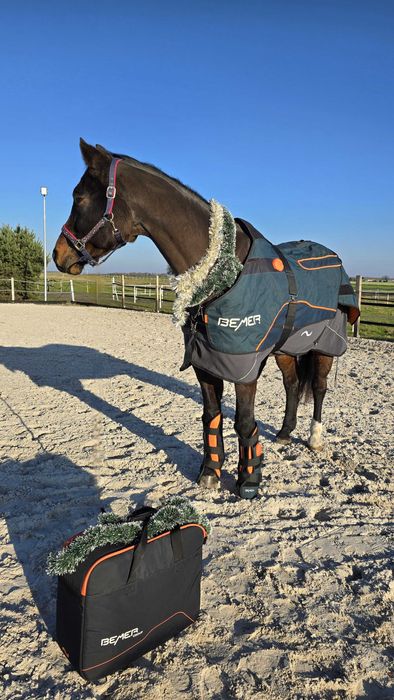 Wynajem Zestaw terapeutyczny dla konia Bemer - derka + ochraniacze