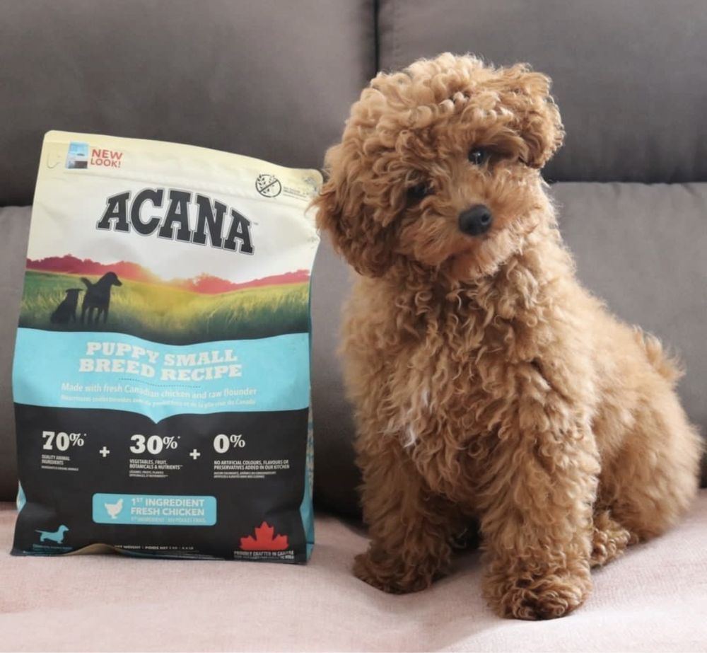 Акана - Acana Puppy Small Breed  2 кг.  - 6 кг.
