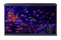 Акваріум Resun WPG 40 для GloFish