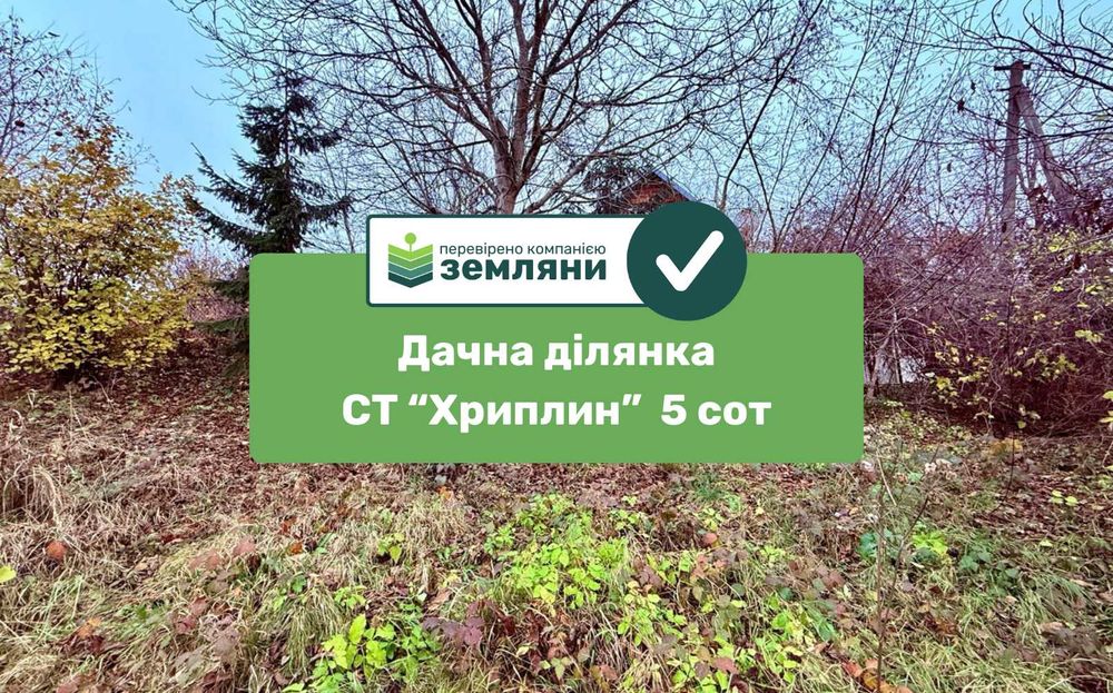 Продається дачна ділянка у с. Хриплин (7)