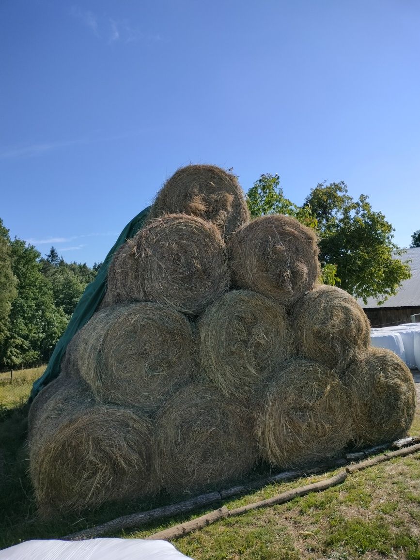 Sianokiszonka z trawy