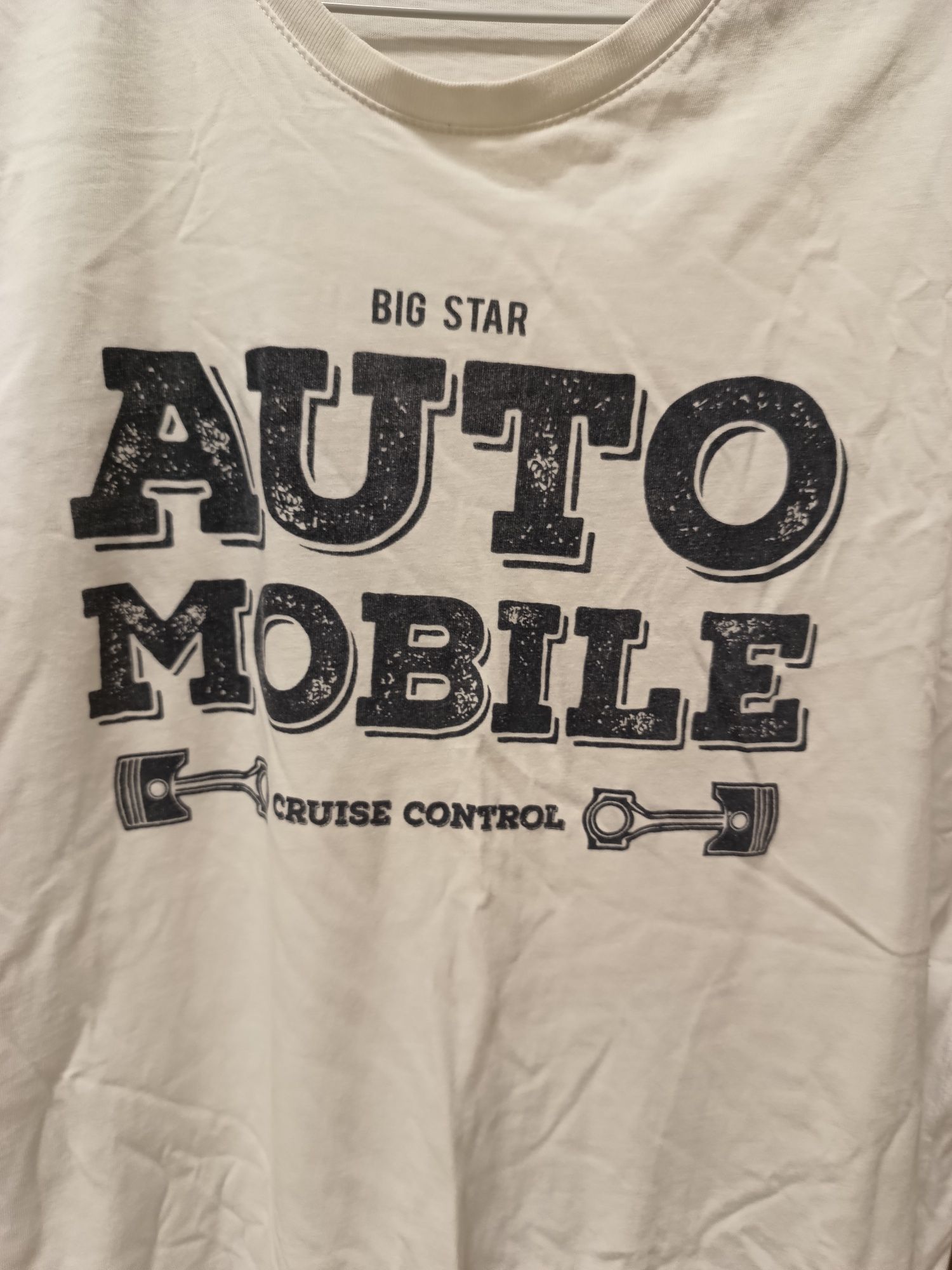 Męska bluzka koszulka t-shirt