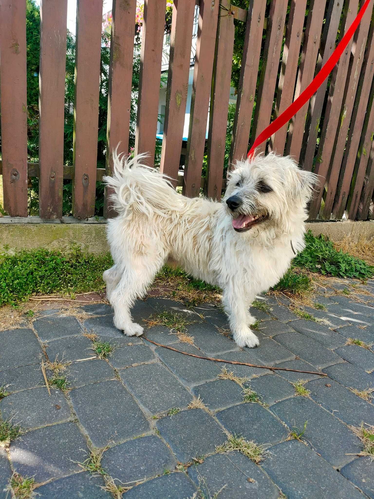 Siedlce, czyja zguba?