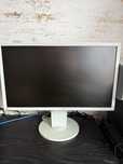 Monitor EIZO FlexScan