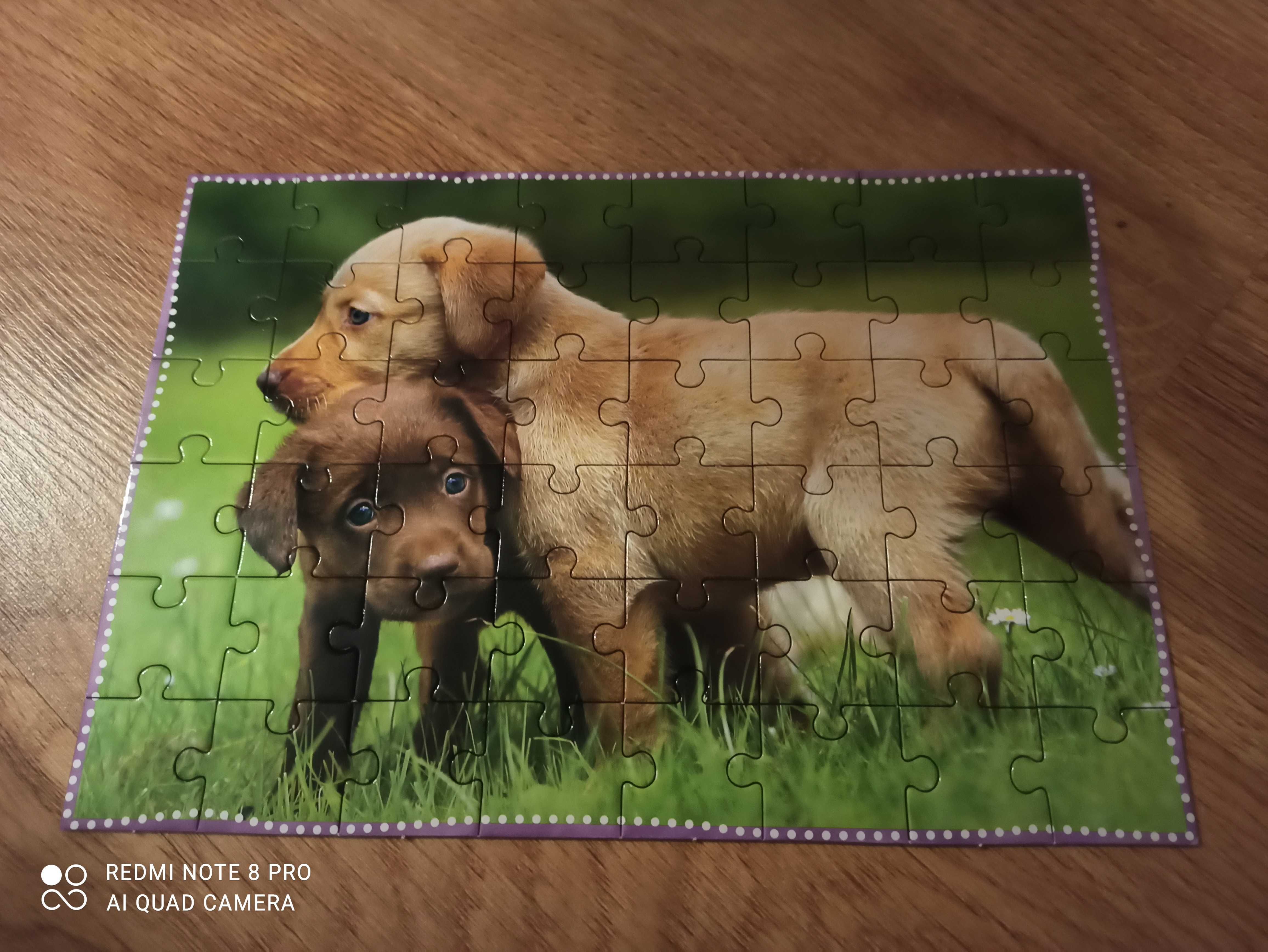 Książka z puzzlami- zwierzęta domowe