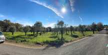 Anúncio de Venda de Terreno – Oportunidade Imperdível! Land for Sale