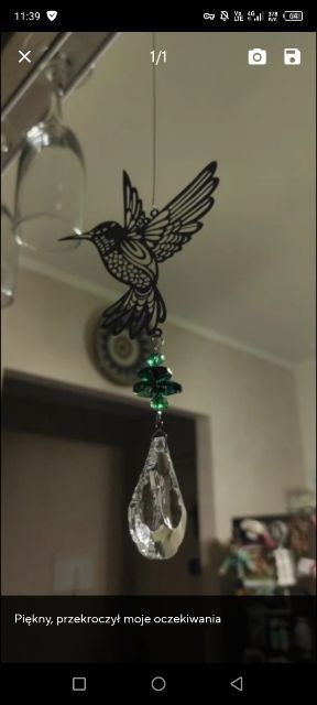 Koliberek dekoracyjny.
