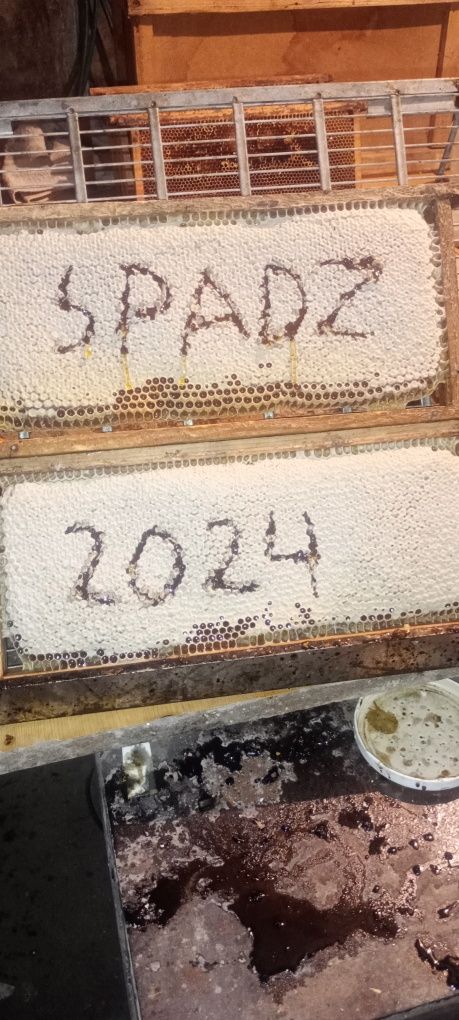 Sprzedam miód spadziowy