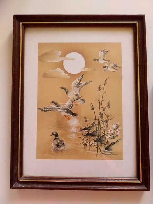 Quadros com patos/caça