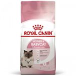 Royal Canin Mother & Babycat для вагітних та годуючих (АКЦІЯ!!)