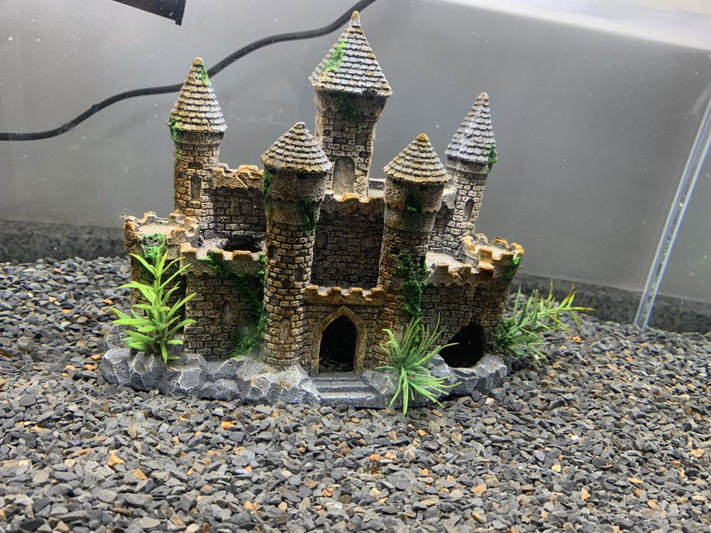 Aquário 48L + Acessórios + Comida