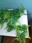 Planta artificial (feto)