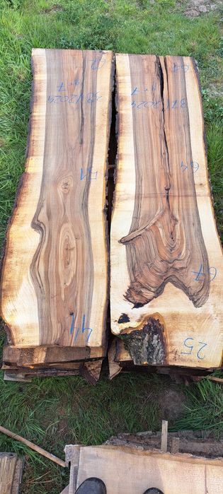 Orzech włoski po suszarni