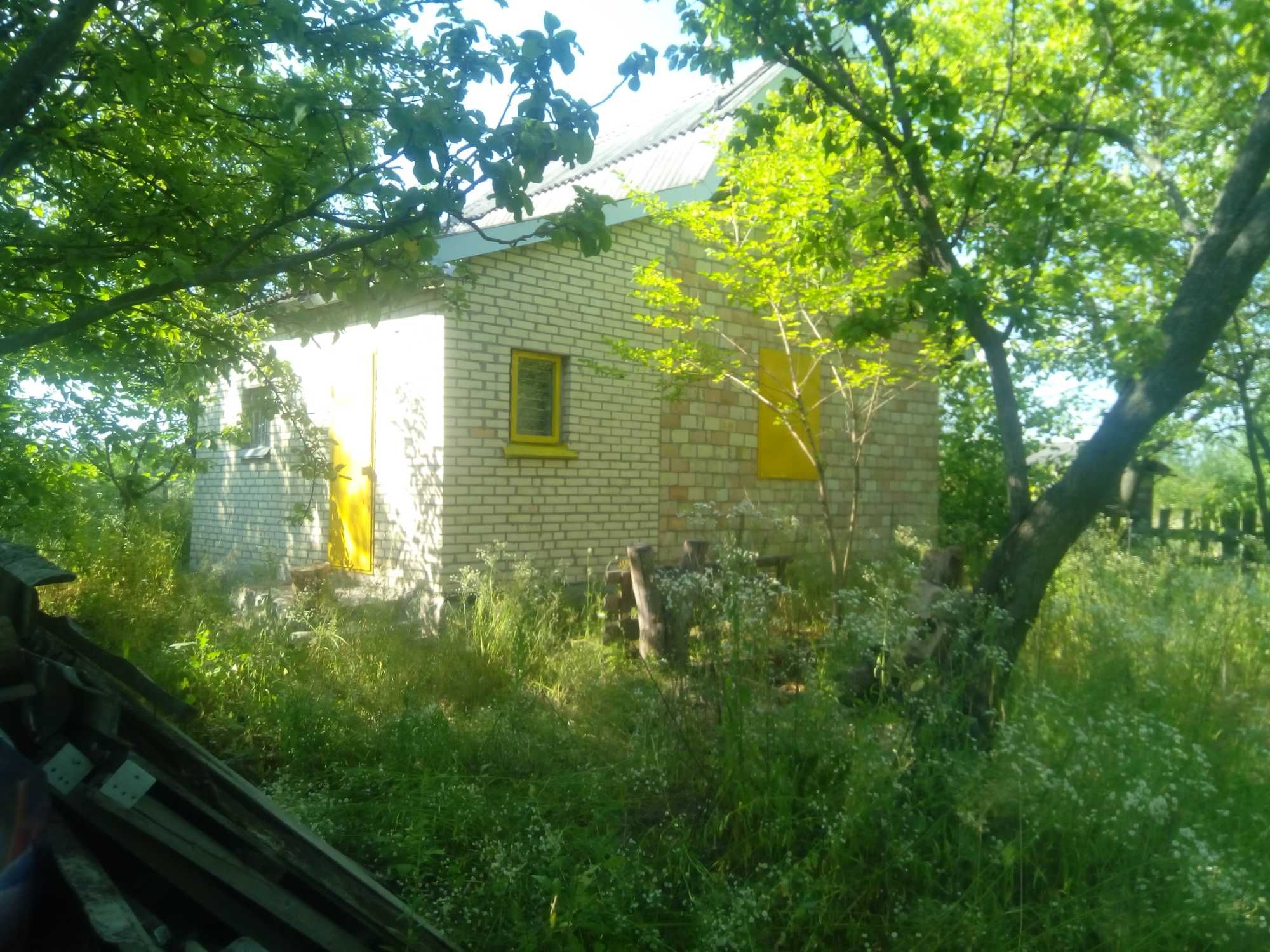 Уединённый дом на окраине села Вишняки.