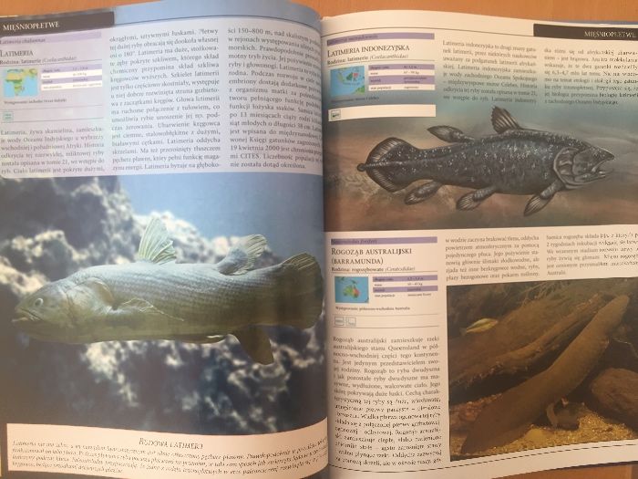 Życie oceanu. Ryby-wielka encyklopedia zwierząt. Dwie książki.