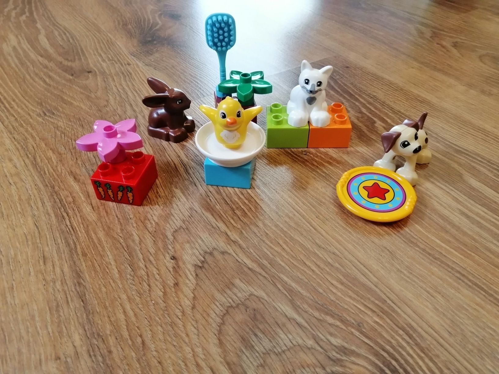 Lego duplo zestaw zwierzątek
