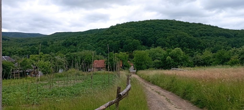 Продаємо будинок Павлово Закарпатськой області