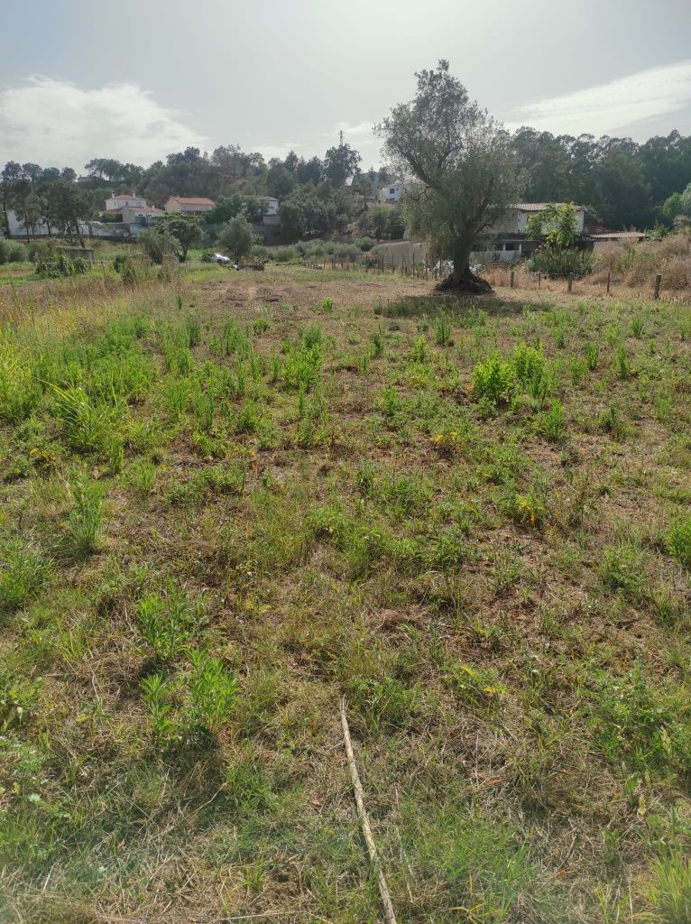 Terreno Agrícola