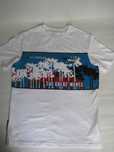 koszulka T-shirt 110 Sinsay S biały