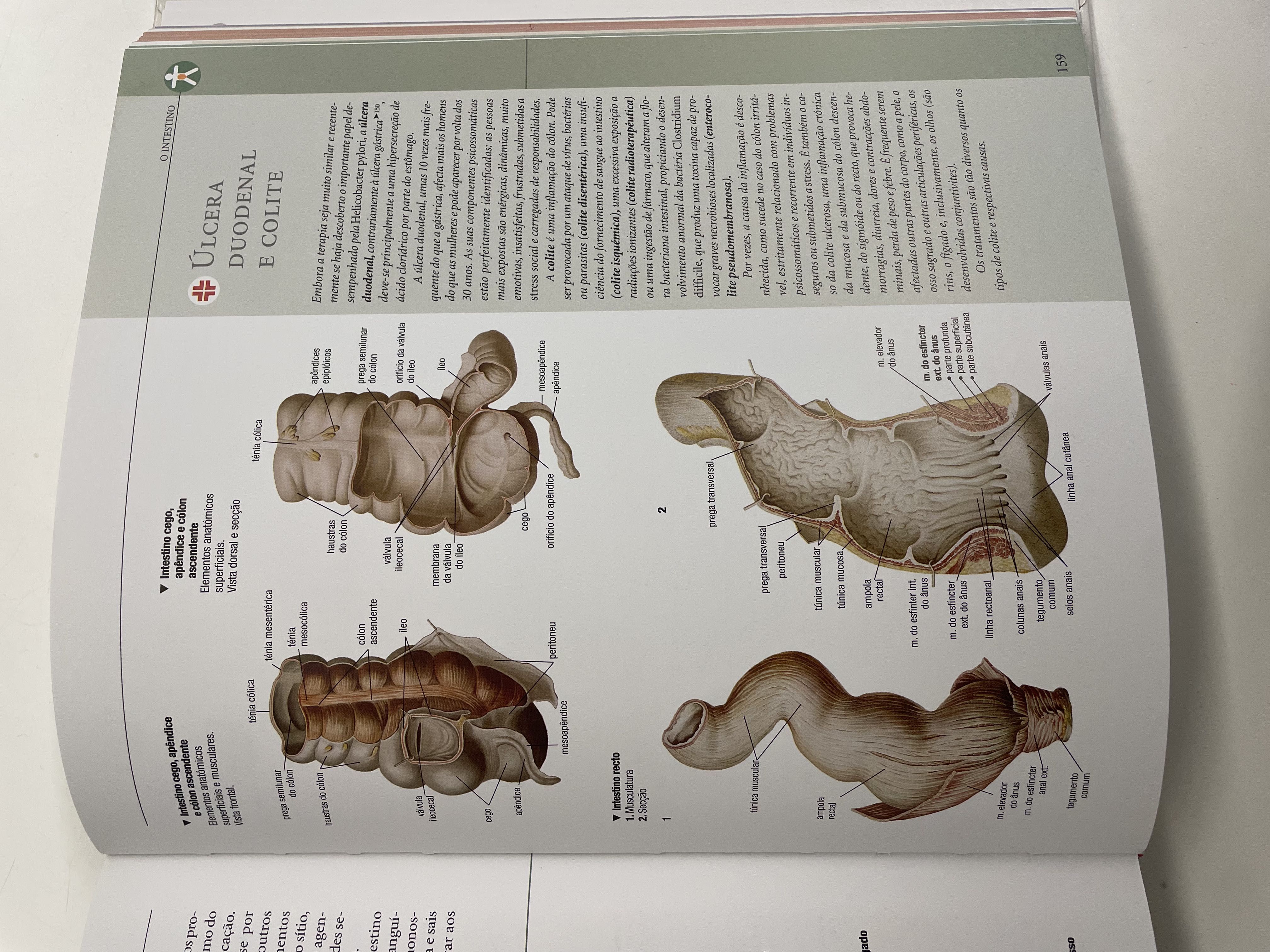 Livro ''Atlas Ilustrativo de Anatomia'' novo e nunca utilizado