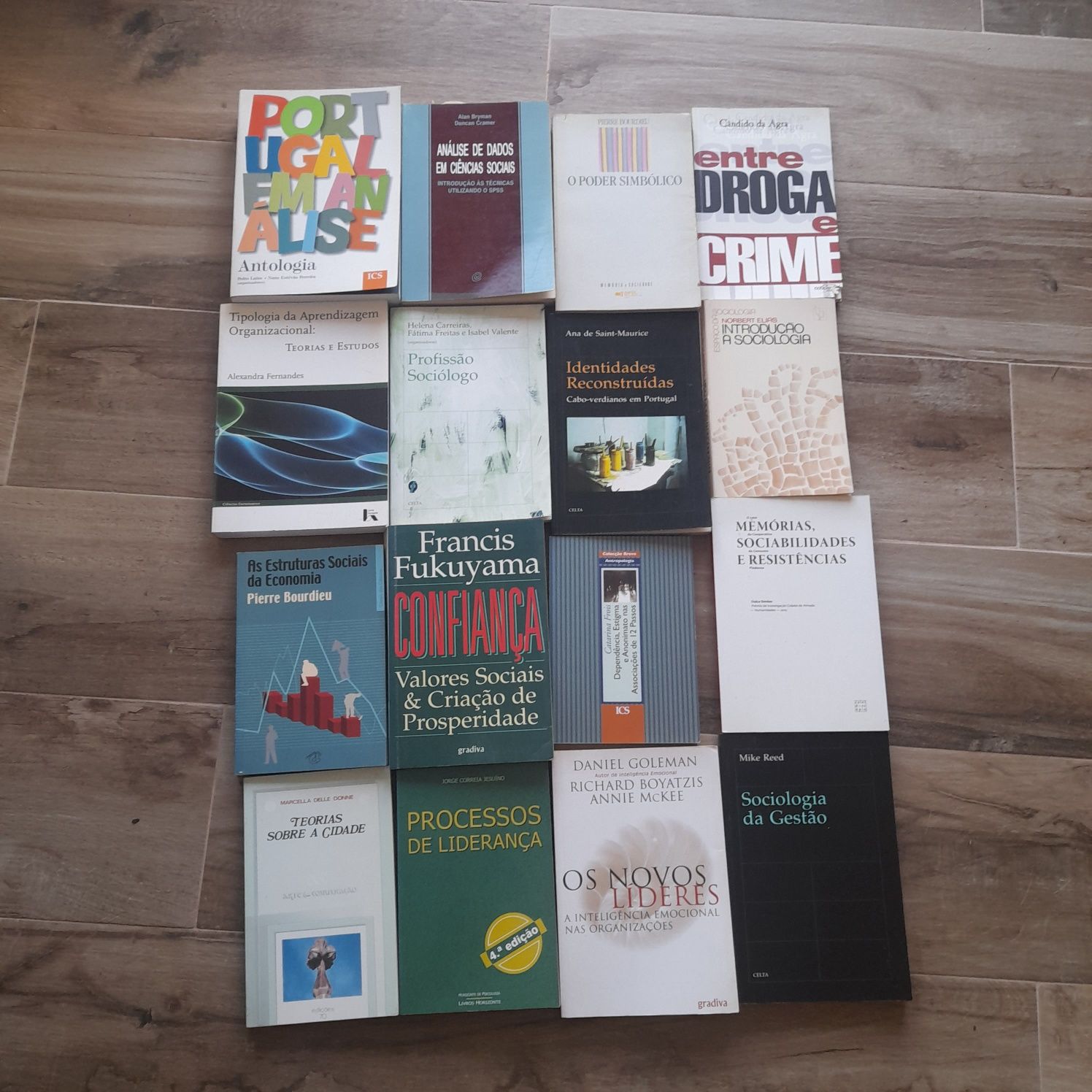 Lote de Livros - Sociologia