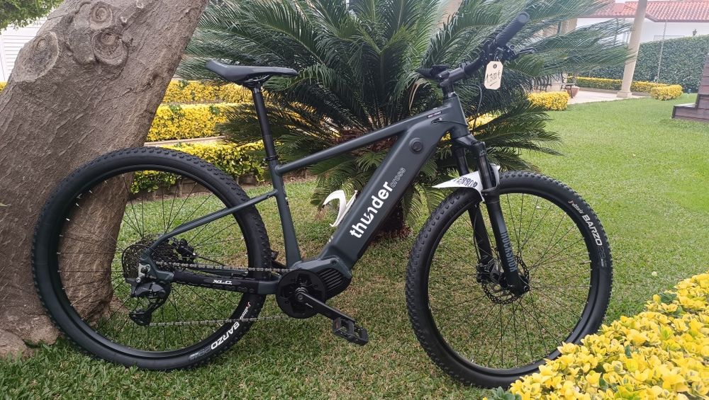 E-bike Thunder Bolt 29 720w
