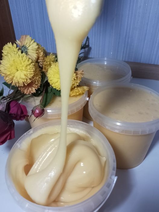 Мед буркун (донник) 2025