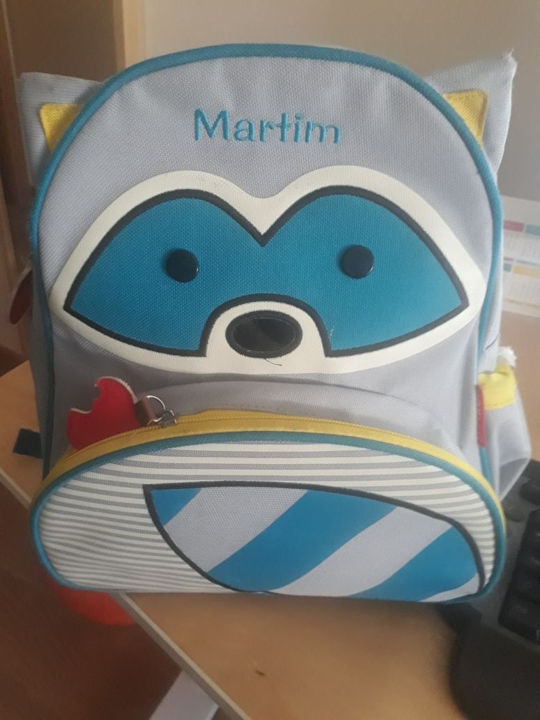 Mochila skiphop Texugo