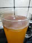Grzybek kombucza kombucha