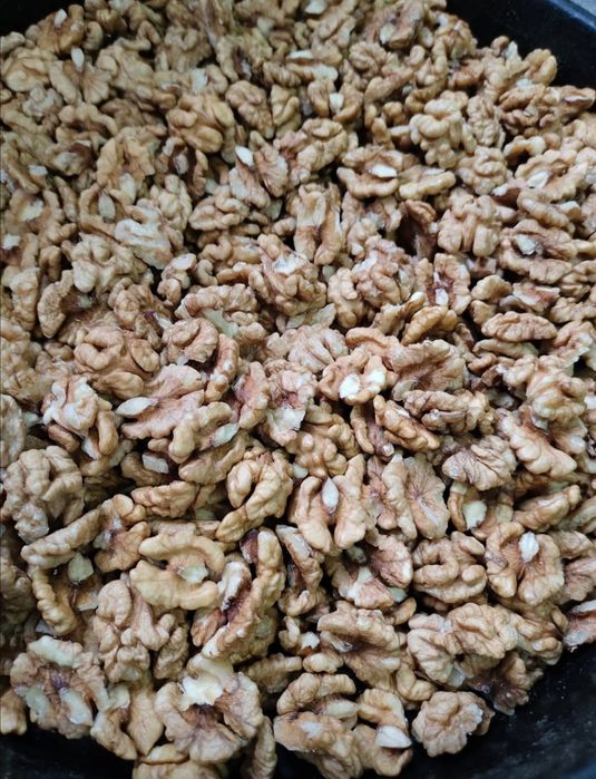 Продам грецькі (волоські) горіхи чищені