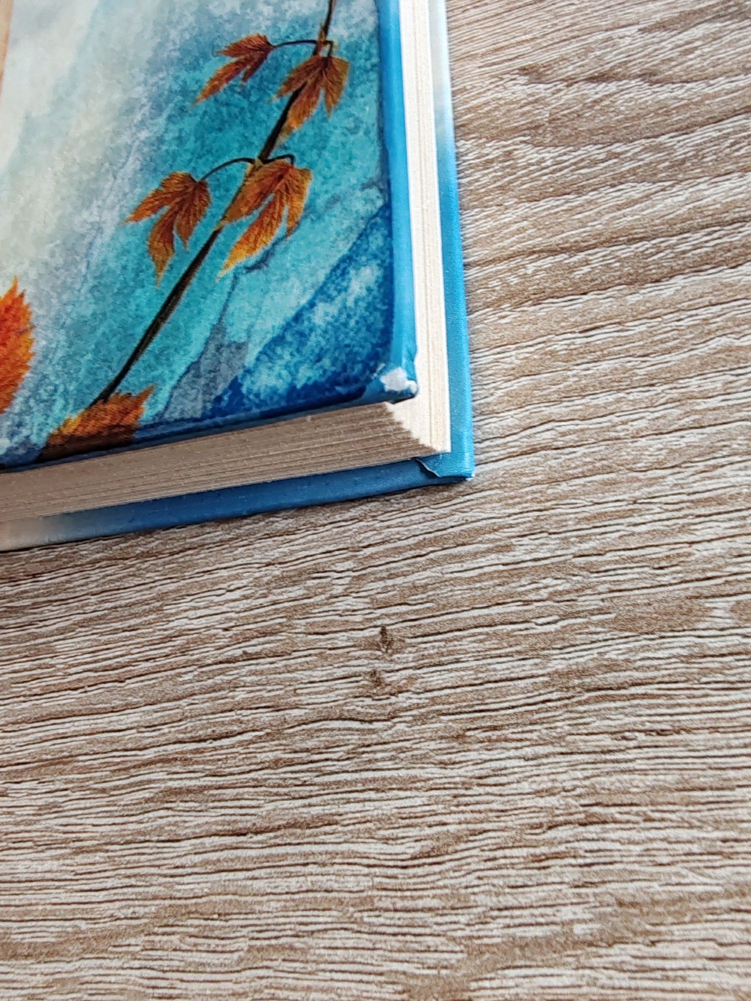Mitch Albom, Miej trochę wiary