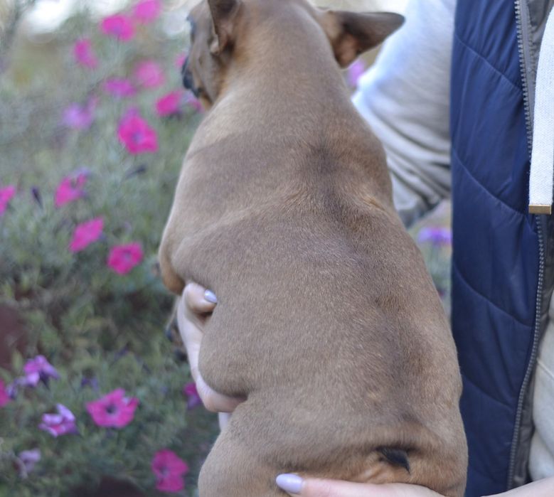 Хлопчик вогняно рудий