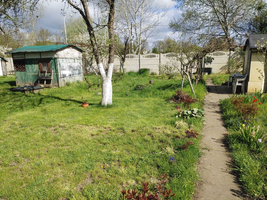 Ogródek działkowy ROD Kamieńskiego Wrocław .