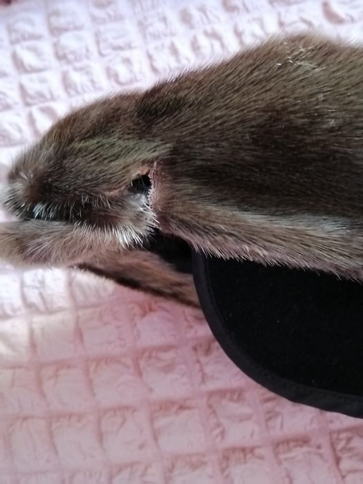 Мужская меховая фуражка