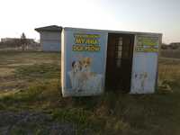Myjnia dla psów  innych zwierzaków