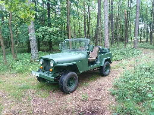 Jeep(Korando) wersja afryka