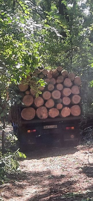 Продам дрова твердих порід