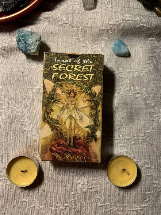 Tarot of the secret forest