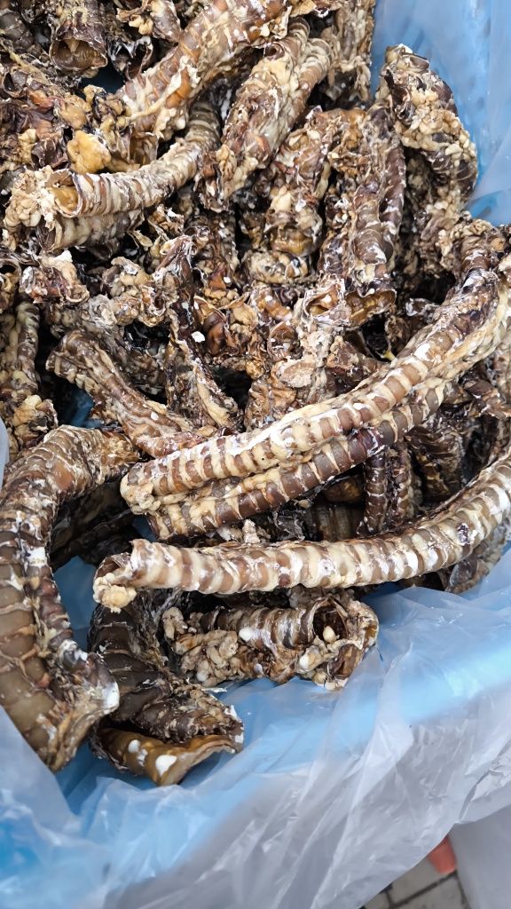 Лакомства для собак