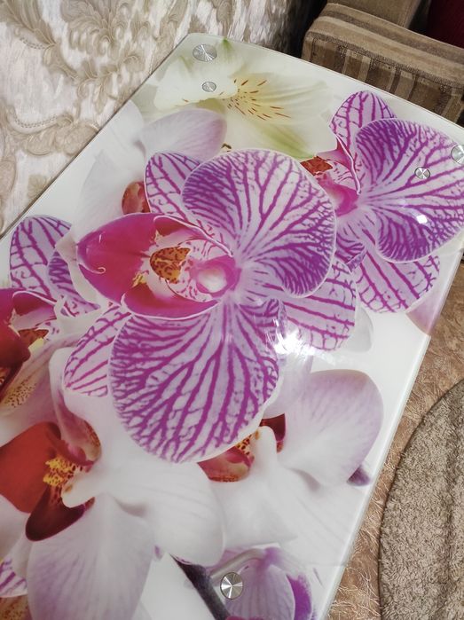 Стол стеклянный орхидея с полкой 100х70см