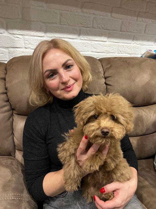 Киів . ( лівмй- правий берег) Прибирання квартир та будинків..