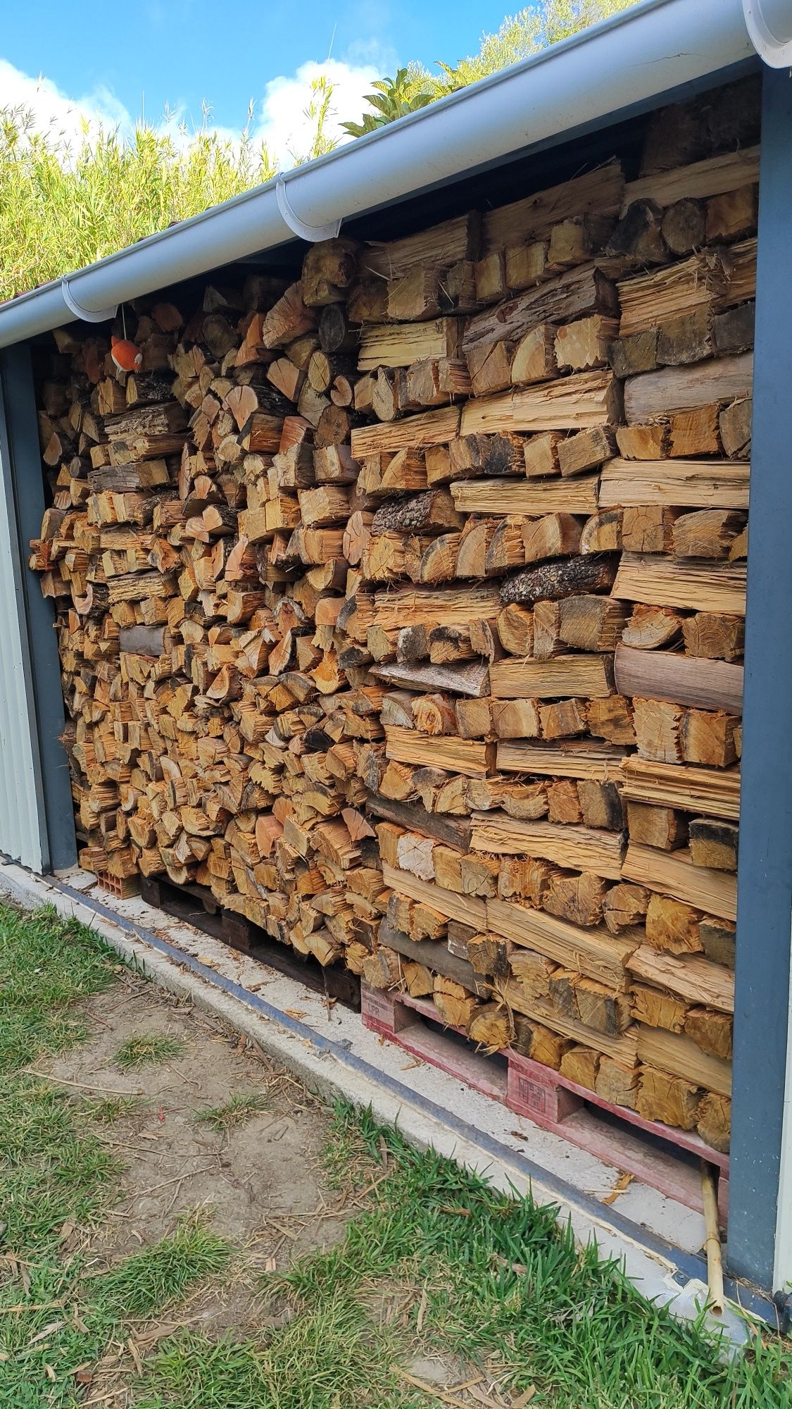 Lenha / Firewood