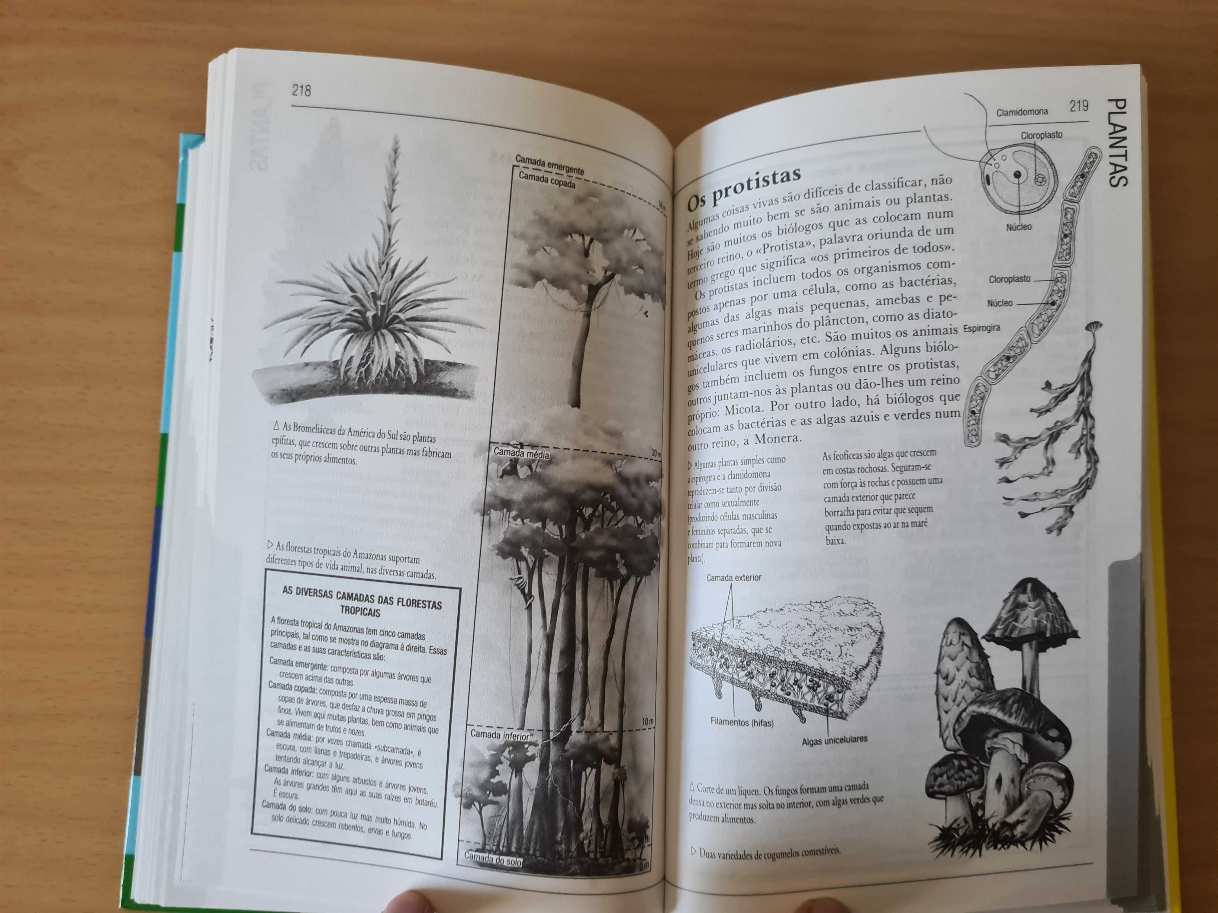 Livro "Arquivo de Factos" do Círculo de Leitores