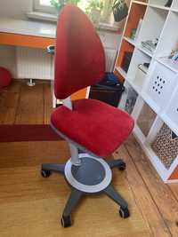 Krzesło Moll regulowane ergonomiczne